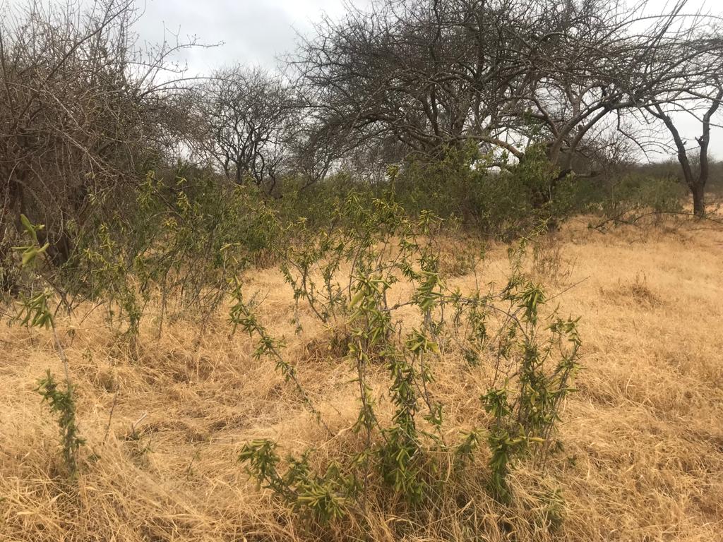 WhatsApp-Image-2023-02-18-at-10.00.56