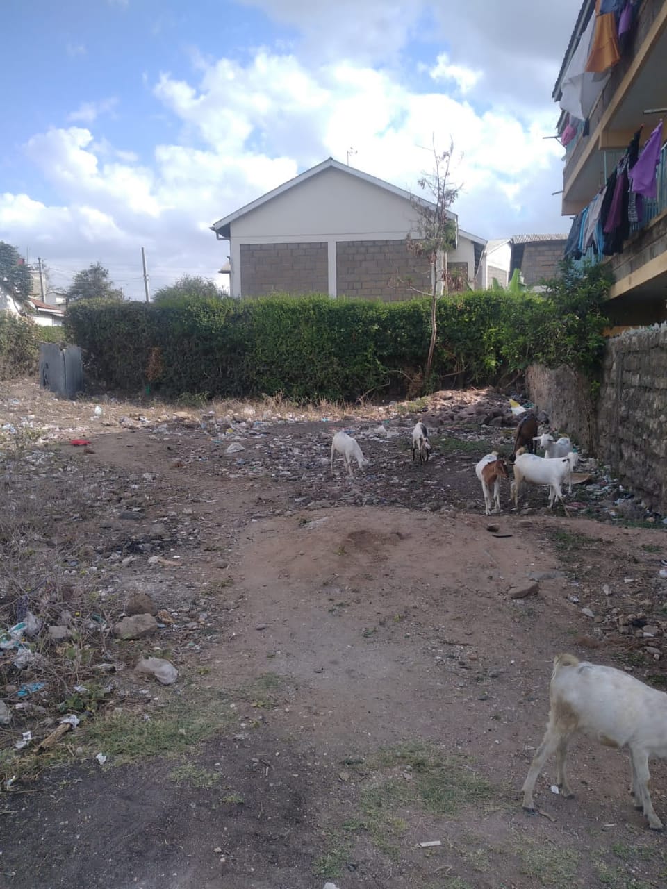 WhatsApp-Image-2023-02-18-at-10.07.28