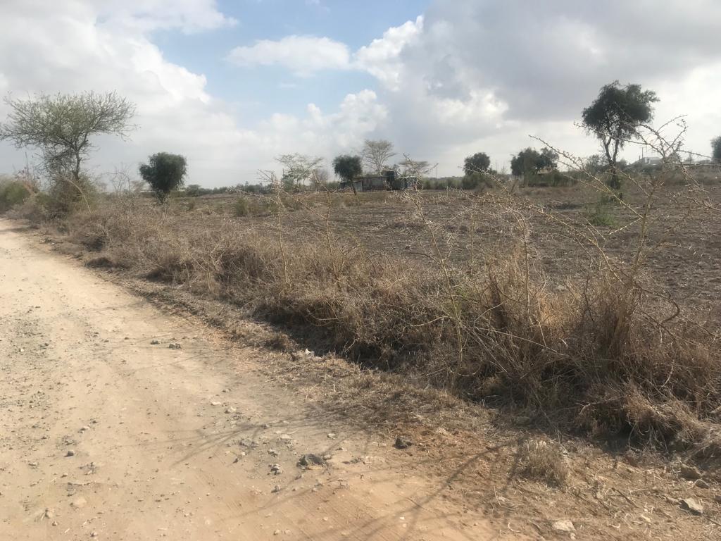 WhatsApp-Image-2023-02-20-at-10.00.59-1